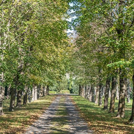 Chateau Du Chambon Cerzat Экстерьер фото